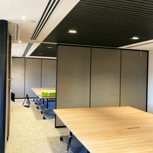 IMG_4396 solid operable wall