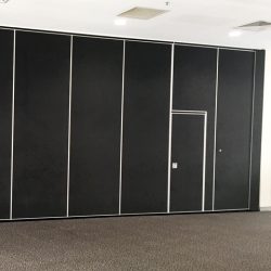 door inset in solid operable wall